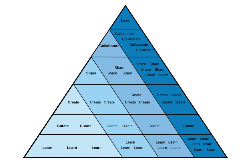 DItSM Pyramid